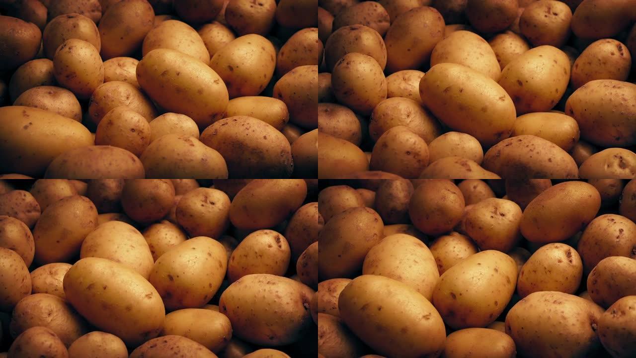 马铃薯堆移动镜头，粮食农业丰收