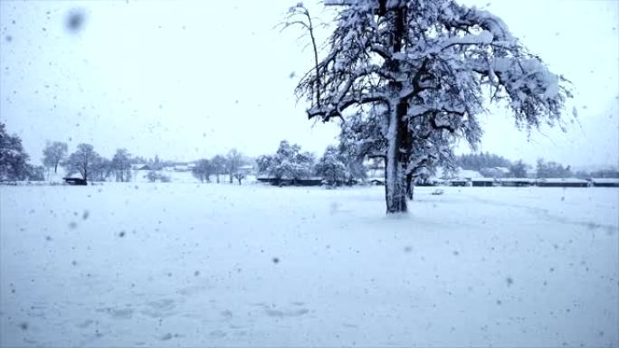 寒冷冰冻的冬季气候季节降雪