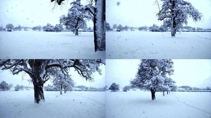 寒冷冰冻的冬季气候季节降雪