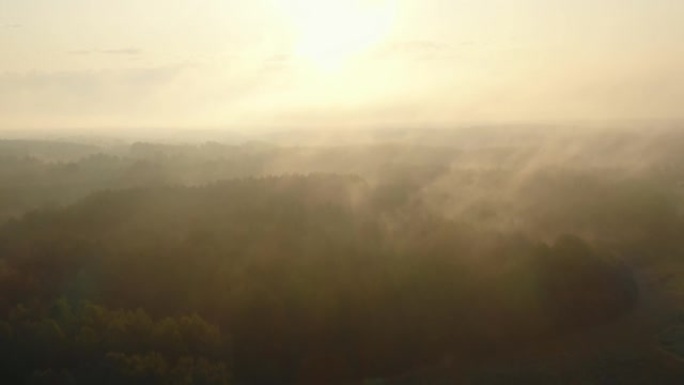 抽象的自然模式，无人机在日出时向后飞越森林树木和覆盖着浓浓的白雾的山谷。