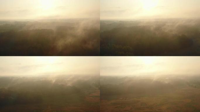 抽象的自然模式，无人机在日出时向后飞越森林树木和覆盖着浓浓的白雾的山谷。