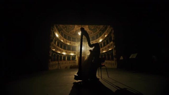 专业女竖琴演奏家的电影剪影在经典剧院舞台上独奏竖琴