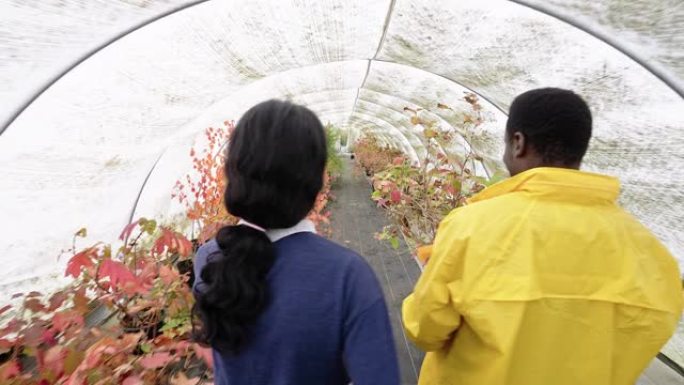 两名花园中心工人在温室中行走的后视图
