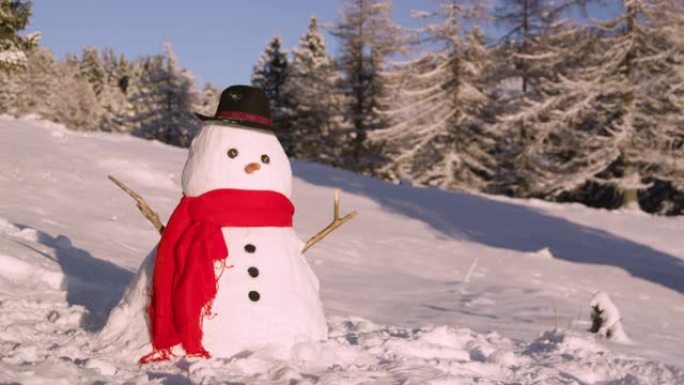 特写: 阳光明媚的日子，有趣的雪人站在田园诗般的寒冷乡村。