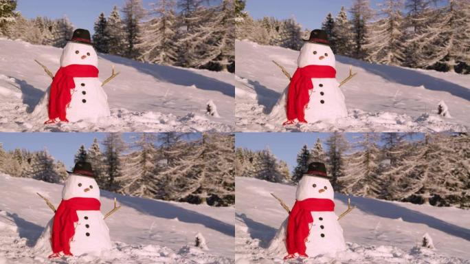 特写: 阳光明媚的日子，有趣的雪人站在田园诗般的寒冷乡村。