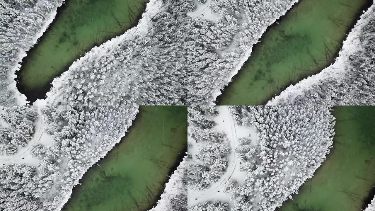 雪中的冬季森林原始林海冬天雪林银装素裹