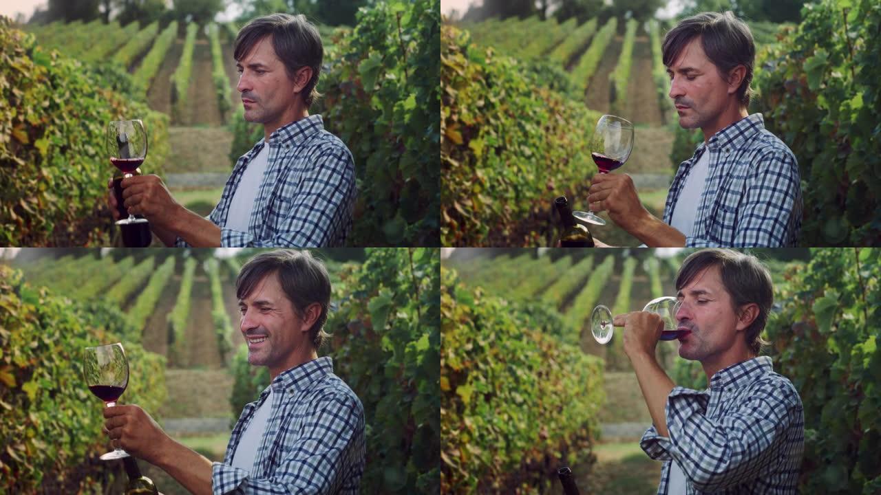 中年男子在葡萄园闻到和品尝红酒的肖像。专业男性农民和酿酒师享受工作成果和酒庄产品质量的真实照片