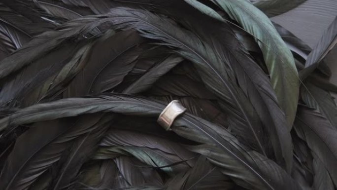 羽毛上的金属环戒指展示实拍素材黑色羽毛
