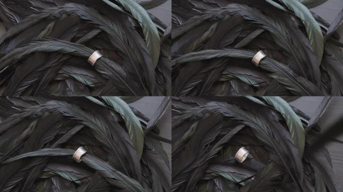 羽毛上的金属环戒指展示实拍素材黑色羽毛