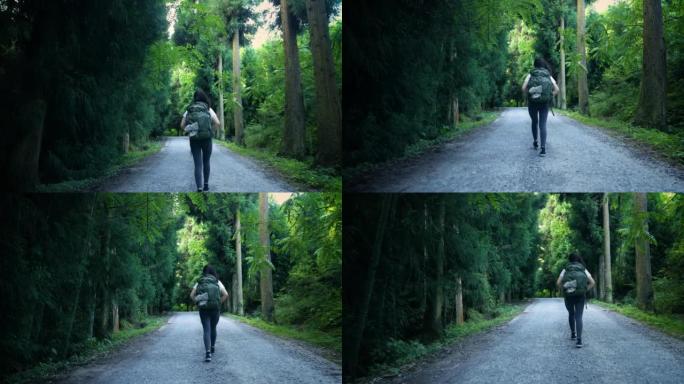 背着背包走在森林路上的女人