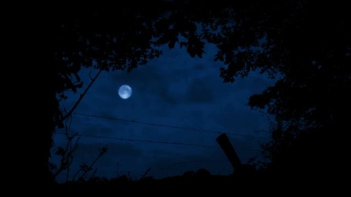 在树篱中开放，在夜空中有月亮