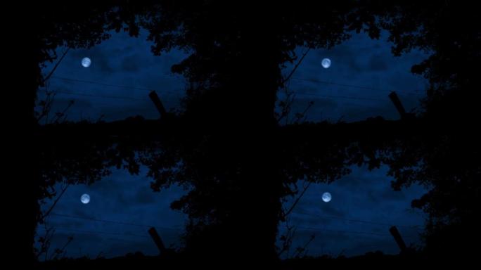 在树篱中开放，在夜空中有月亮