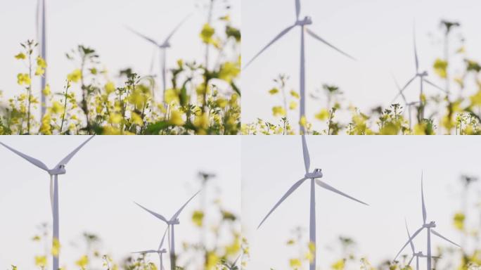 前景无云天空中带有植物的风力涡轮机的总体视图