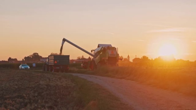 SLO MO联合收割机在日落时将谷物装载到拖拉机拖车中