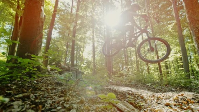 超级SLO MO时间扭曲效果MTB骑自行车的人在阳光明媚的森林中跳过木制坡道