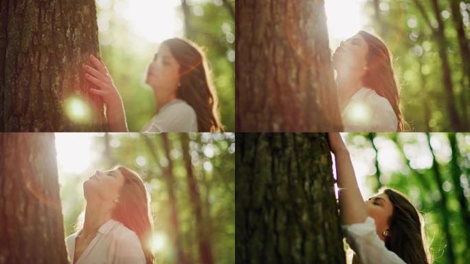 SLO MO年轻女子热爱大自然，在阳光明媚的森林中拥抱一棵树
