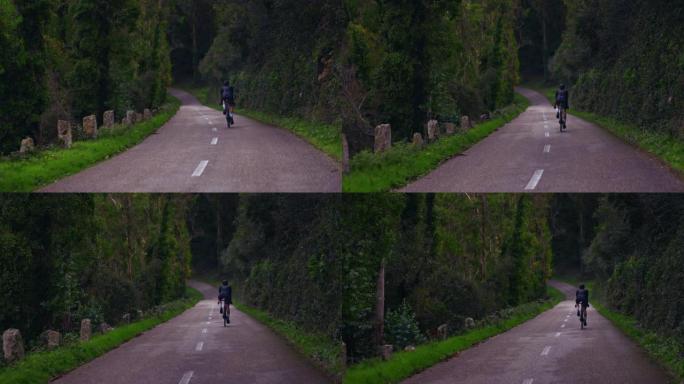 专业骑自行车的人在森林路上骑自行车