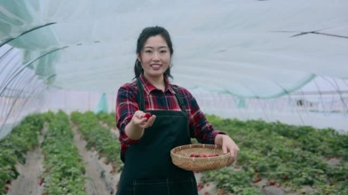 持有草莓肖像的亚洲农民