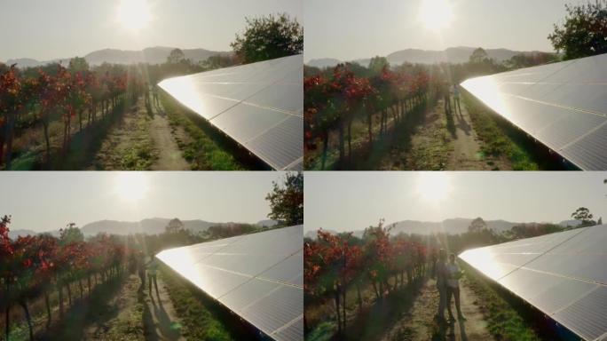 农民，工程师和平板电脑交谈，太阳能电池板，并计划在可持续发展农场的扩展，升级和维护。关于太阳能战略的
