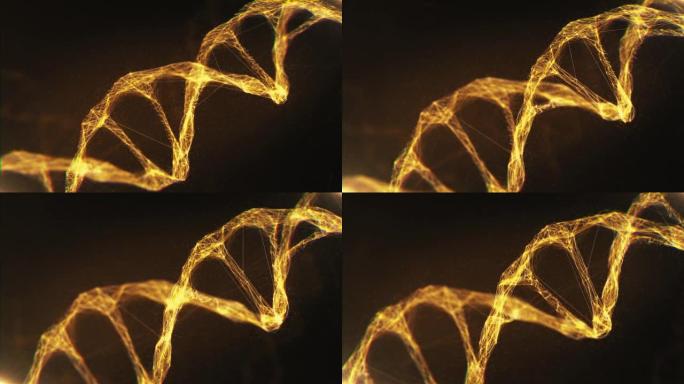 特写金色分子结构DNA在发光的背景上旋转。明亮的3D动画生物技术DNA模型旋转。基因组信息脱氧核糖核