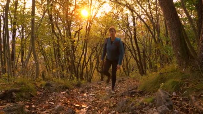 镜头耀斑: 年轻女子在日落时在秋天的彩色森林中徒步上山。