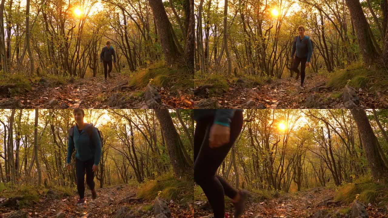 镜头耀斑: 年轻女子在日落时在秋天的彩色森林中徒步上山。