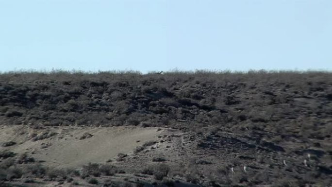 “Bardas” (悬崖) 位于阿根廷丘布特省干旱的阿根廷巴塔哥尼亚的盖曼附近。