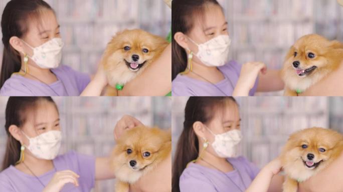 女孩和博美犬宠物狗抚摸主人和狗