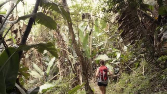 女人徒步穿越森林热带地区三亚海南岛香蕉树