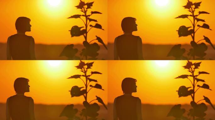 女人站在明亮的阳光和植物背景下的田野中