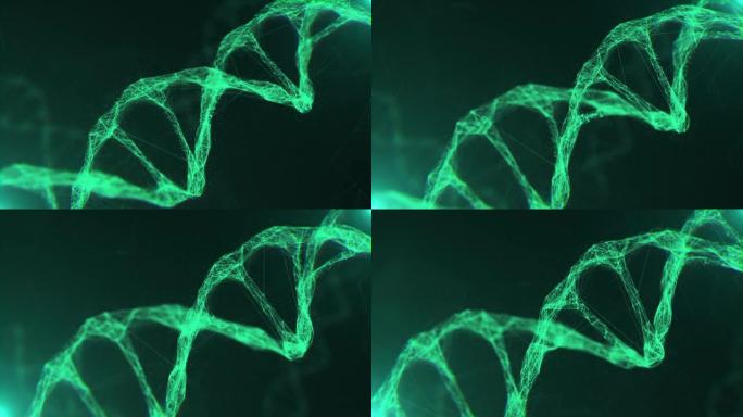 特写绿色分子结构DNA在发光的背景上旋转。明亮的3D动画生物技术DNA模型旋转。基因组信息脱氧核糖核