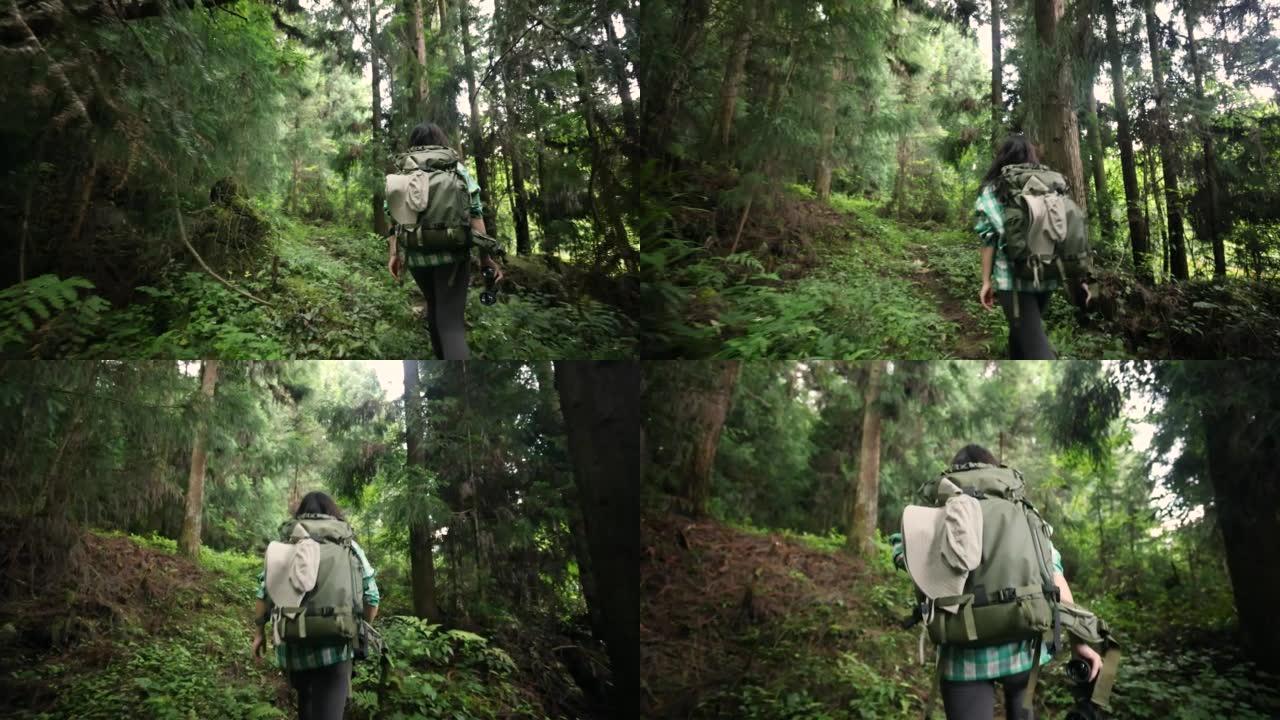 旅行者在森林徒步旅行