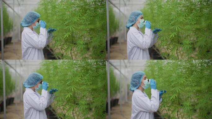 女性植物学家通过微型便携式显微镜观察外部开花结构或晶体三色