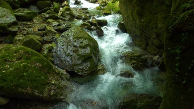 溪水在山上流动山泉溪水资源