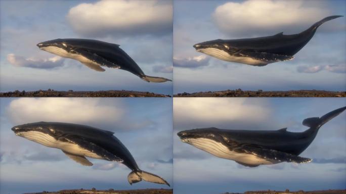空中座头鲸的超现实主义动画。