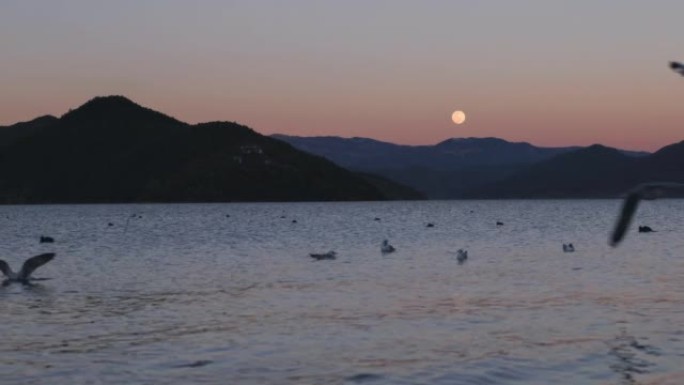 一轮明月从泸沽湖升起