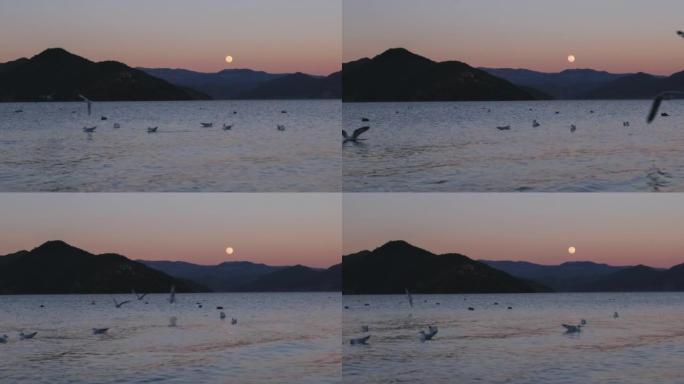 一轮明月从泸沽湖升起