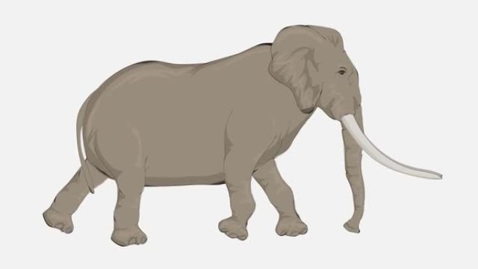 行走累象卡通动画。动物，野生动物，游戏，返校的概念，3d动画，电影，有机，色键，角色动画，设计元素，