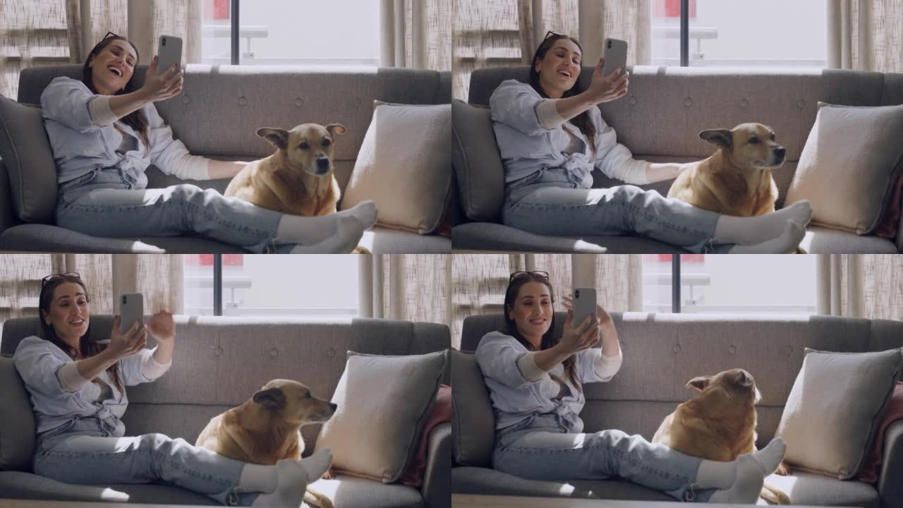 快乐的年轻女子用她的智能手机在沙发上进行视频通话，并在她的房子里挥手。白人妇女带着她的小狗。带着你的