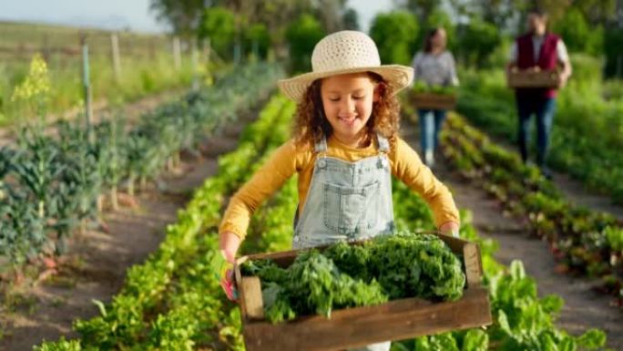农业，植物和女孩在农场的肖像与蔬菜盒的可持续性，生长和健康的。与农村的儿童农民一起为农业，能源和环境