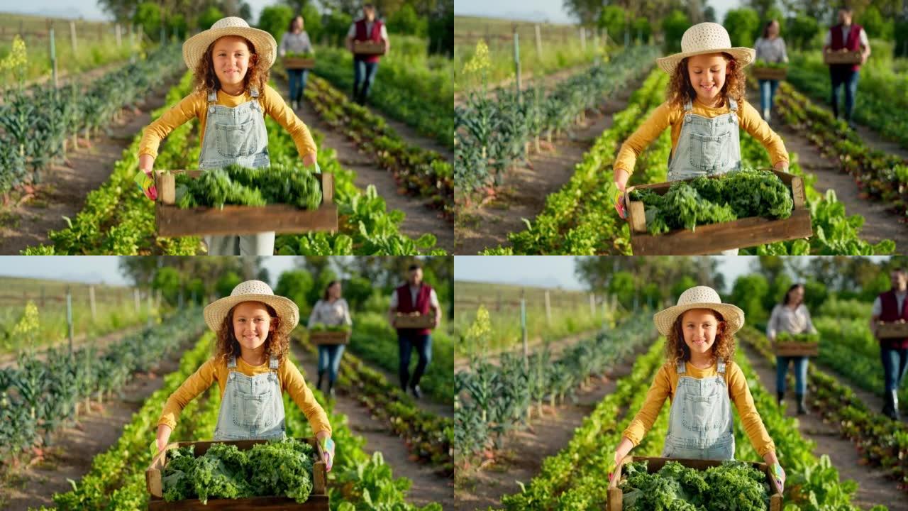 农业，植物和女孩在农场的肖像与蔬菜盒的可持续性，生长和健康的。与农村的儿童农民一起为农业，能源和环境