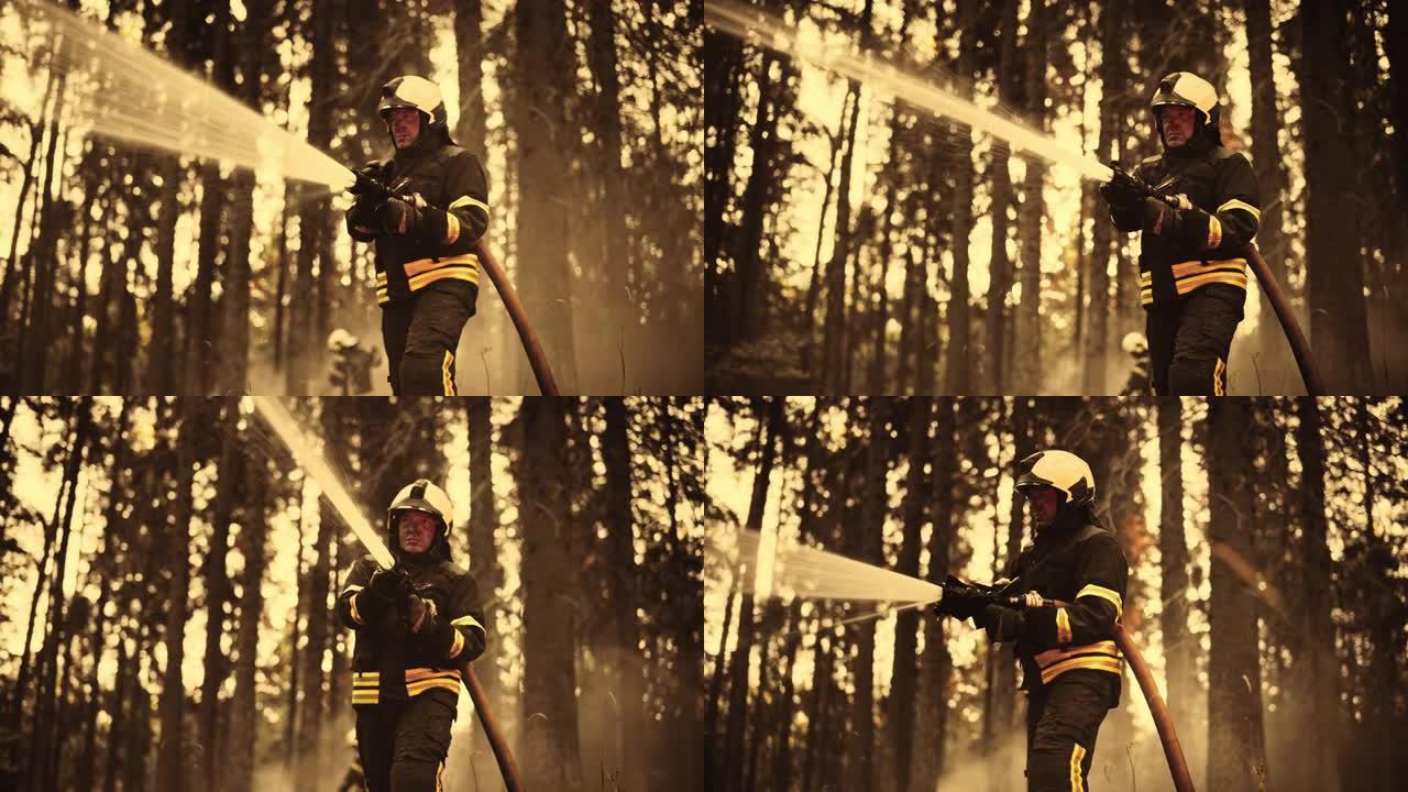 一位勇敢的专业消防员使用消防车扑灭熊熊危险的森林大火的肖像。经验丰富的消防员熟练地管理高压水并保持安