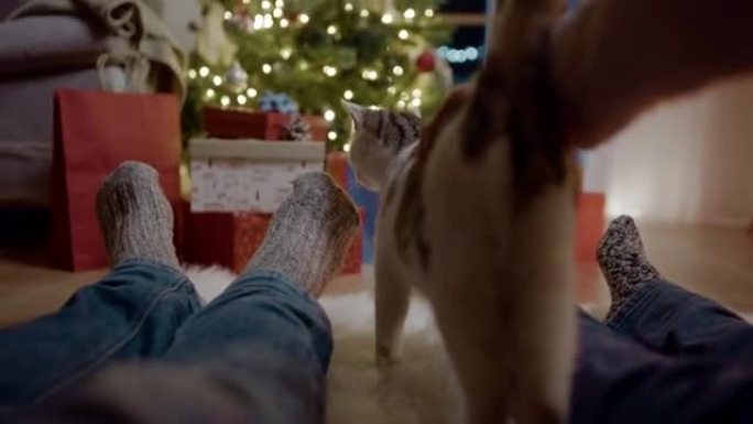 女士无法辨认的夫妇坐在圣诞树旁边的地板上拥抱猫
