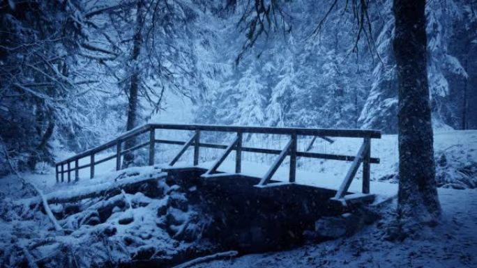 冬季森林中的桥梁冬天寒冷下大雪东北北方