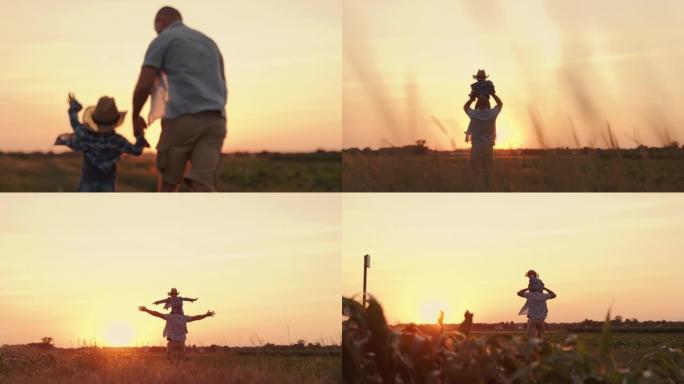 SLO MO父子在日落时分在田野里度过了美好的时光