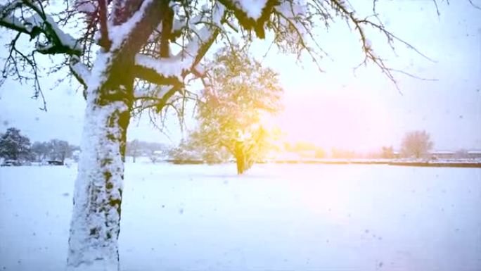 白雪皑皑的冬季仙境自然背景鸟瞰图