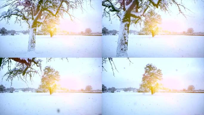 白雪皑皑的冬季仙境自然背景鸟瞰图
