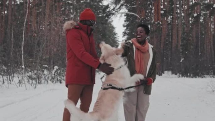 冬天的情侣爱抚狗合照视频背景雪地