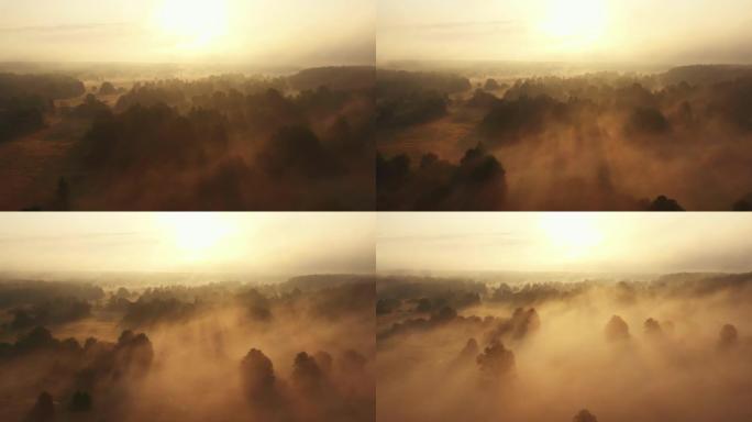 在史诗般朦胧的夏季日出早晨，无人驾驶飞机在浓雾笼罩的惊人森林山谷和小河上向后飞行。