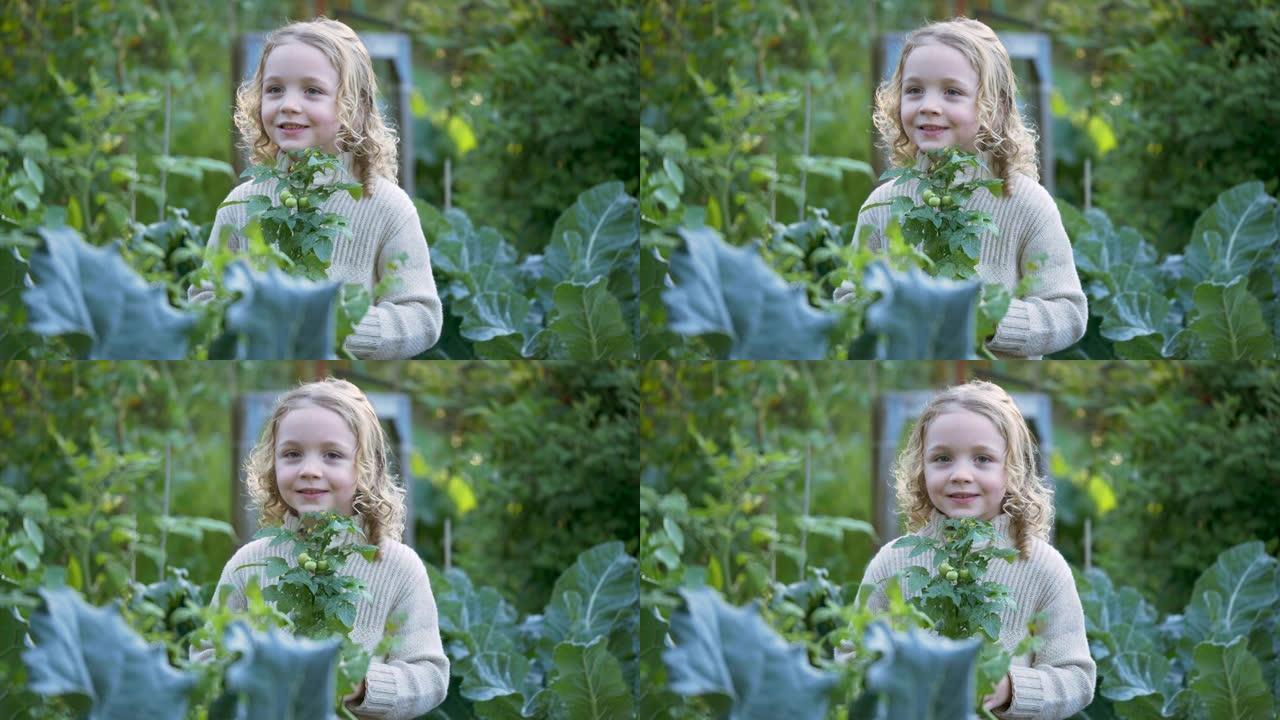 小女孩在社区花园里拿着盆栽